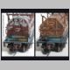 CSXT497762_V2.jpg